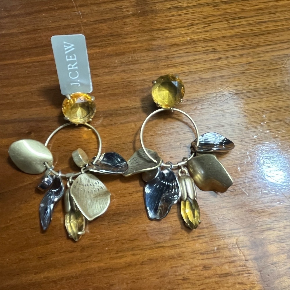 J. Crew Gold and Silver Charm Hoop Earrings